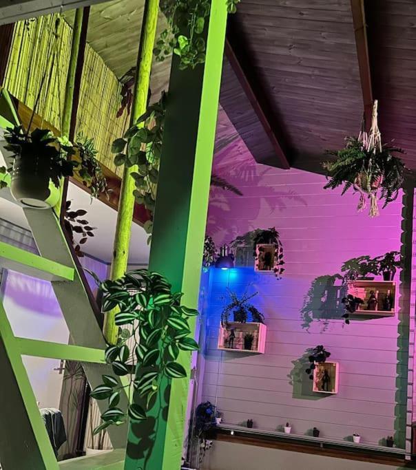 Jungle Style Lodge With Jacuzzi ,Sauna And Garden Near Amsterdam Vijfhuizen Esterno foto
